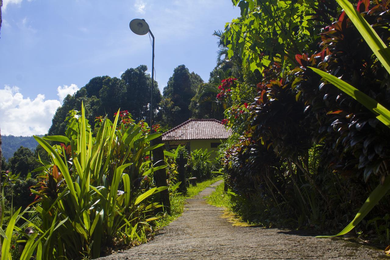 Aryautama Garden Villa Munduk Exteriér fotografie