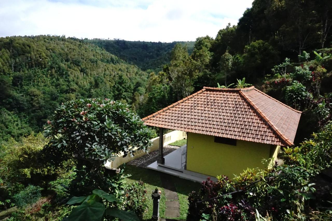 Aryautama Garden Villa Munduk Exteriér fotografie