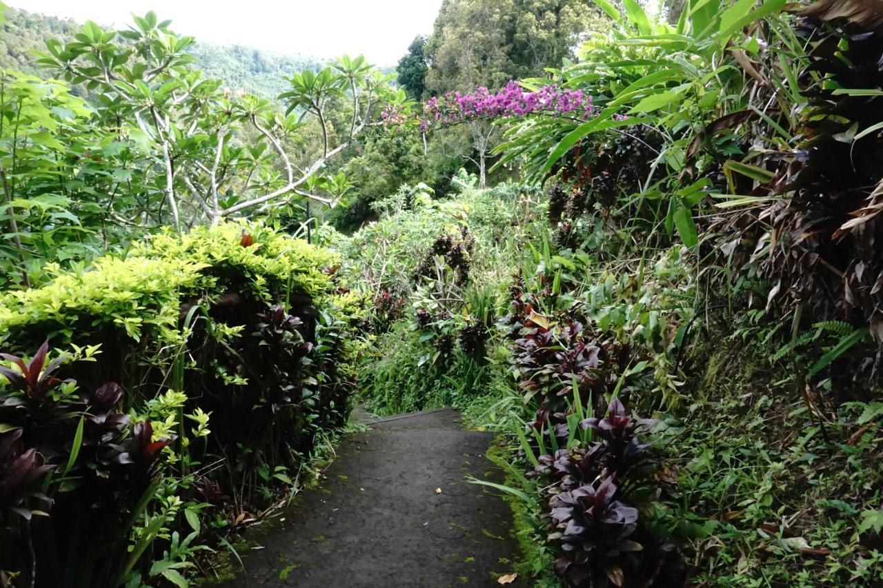 Aryautama Garden Villa Munduk Exteriér fotografie