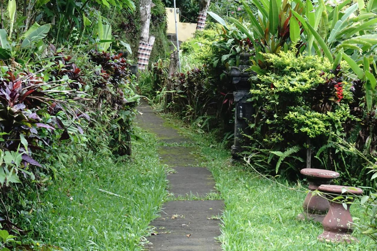 Aryautama Garden Villa Munduk Exteriér fotografie